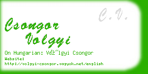 csongor volgyi business card